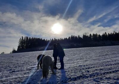 Birgit und Florian mit den Alpakas im Schnee und der Wintersonne